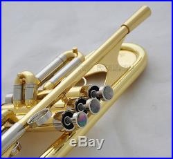 2018 Newest Professional Gold Heavy Trumpet B-Flat Horn Germany Brass With Case