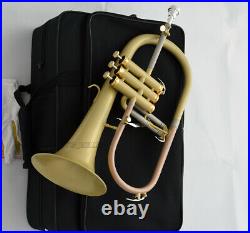 2020 Professional Satin finish Bb Flugelhorn NEW FLUGEL Horn With Case