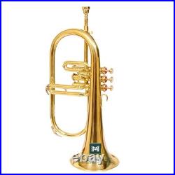 3 Valve Bb Flugelhorn, Brass Musical Instrument Finish Mouthpiece & Case