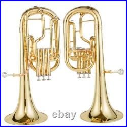 AUROSUS 401L Eb Alto Horn Brass 3 Stainless Steel Valves Lacquer Student withCase