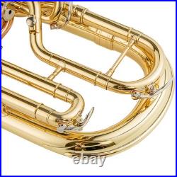 AUROSUS 401L Eb Alto Horn Brass 3 Stainless Steel Valves Lacquer Student withCase