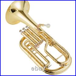 AUROSUS 401L Eb Alto Horn Brass 3 Stainless Steel Valves Lacquer Student withCase