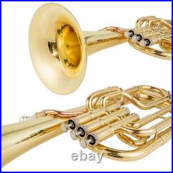AUROSUS 401L Eb Alto Horn Brass 3 Stainless Steel Valves Lacquer Student withCase