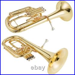 AUROSUS 401L Eb Alto Horn Brass 3 Stainless Steel Valves Lacquer Student withCase