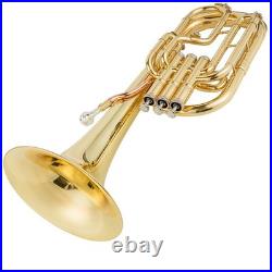 AUROSUS 401L Eb Alto Horn Brass 3 Stainless Steel Valves Lacquer Student withCase
