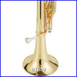 AUROSUS 401L Eb Alto Horn Brass 3 Stainless Steel Valves Lacquer Student withCase