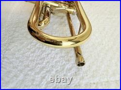 AUROSUS Bb Trumpet Used Serviced & Adjusted Ready to Play with Case