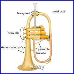 AUROSUS FH-8390 JAZZ Bb Flugelhorn Matte Brass Heavy Caps Trigger with Light Cas