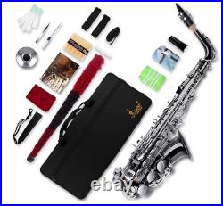 Alto Saxophone Eb Complete with Carry Case and Cleaning Accessories for Beginner