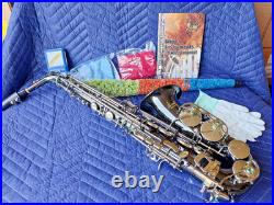 Alto Saxophone Eb Complete with Carry Case and Cleaning Accessories for Beginner