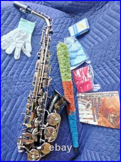Alto Saxophone Eb Complete with Carry Case and Cleaning Accessories for Beginner
