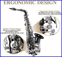 Alto Saxophone Eb Complete with Carry Case and Cleaning Accessories for Beginner