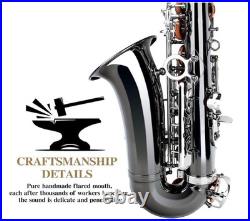 Alto Saxophone Eb Complete with Carry Case and Cleaning Accessories for Beginner