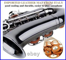 Alto Saxophone Eb Complete with Carry Case and Cleaning Accessories for Beginner