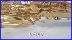 Andreas Eastman Baritone Saxophone brand new EBS-640GL Low A High F#