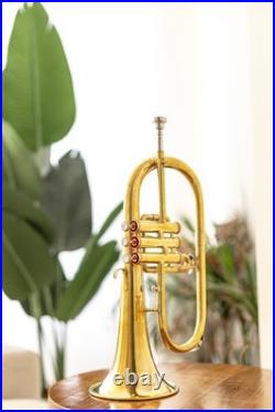 BB FlugelHorn 3 valve Brass With Hard Case and Mouthpiece