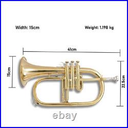 BB FlugelHorn 3 valve Brass With Hard Case and Mouthpiece