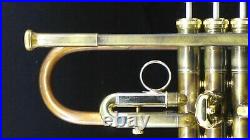 B. A. C. Paseo Model Trumpet in Brushed Antique Lacquer With Polished Accents