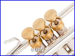 Bach Trumpet Trim Kit. KGUBrass. MARIO Extra heavy Caps. Raw Brass TKMaR122