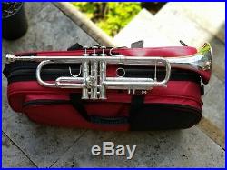 Bach stradivarius trumpet 37 silver Estate Find with case