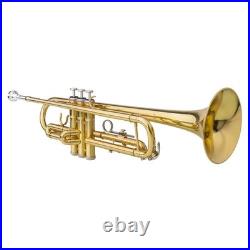 Back 2? School? Special? Unmarked Trumpet with Case/Bag/Pack +Strap +Cloth