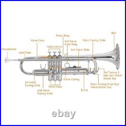 Back 2? School? Special? Unmarked Trumpet with Case/Bag/Pack +Strap +Cloth