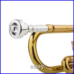 Back 2? School? Unmarked Trumpet with Case/Bag/Pack +Strap +Cloth