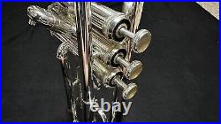 Barclay & Co Silver Trumpet New York T-4466 + Original Hard Case
