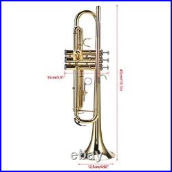 Bb Brass Trumpet Elegant Polished Appearance Brass Instrument Complete Starter