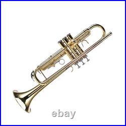 Bb Brass Trumpet Elegant Polished Appearance Brass Instrument Complete Starter