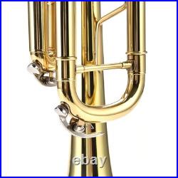 Bb Brass Trumpet Elegant Polished Appearance Brass Instrument Complete Starter Bb Brass Trumpet Elegant Polished Appearance Brass Instrument Complete Starter