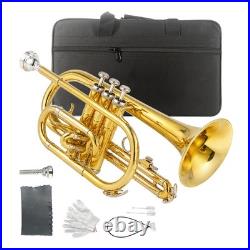 Bb Cornet Brass Gold Lacquer with Case Cleaning Kit with Gold Lacquer Lead-free