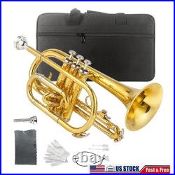 Bb Cornet Brass Gold Lacquer with Case Cleaning Kit with Gold Lacquer Lead-free