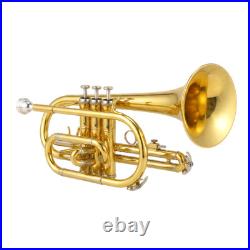 Bb Cornet Brass Gold Lacquer with Case Cleaning Kit with Gold Lacquer Lead-free