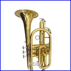 Bb Cornet Brass Gold Lacquer with Case Cleaning Kit with Gold Lacquer Lead-free