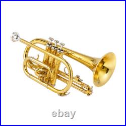 Bb Cornet Brass Gold Lacquer with Case Cleaning Kit with Gold Lacquer Lead-free