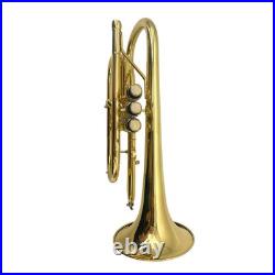 Bb Cornet Brass Gold Lacquer with Case Cleaning Kit with Gold Lacquer Lead-free
