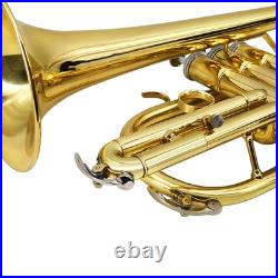 Bb Cornet Brass Gold Lacquer with Case Cleaning Kit with Gold Lacquer Lead-free