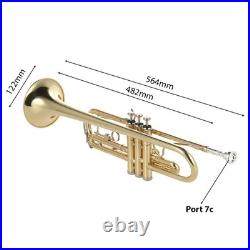 Bb Flat Trumpet Brass Gold-painted Intermediate Concert School Band Trumpet KDFH