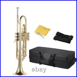 Bb Flat Trumpet Brass Gold-painted Intermediate Concert School Band Trumpet KDFH