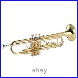 Bb Flat Trumpet Brass Gold-painted Intermediate Concert School Band Trumpet KDFH