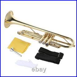 Bb Flat Trumpet Brass Gold-painted Intermediate Concert School Band Trumpet KDFH