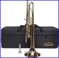 Bb Standard Brass Trumpet for Beginner and Intermediate Players Student Model