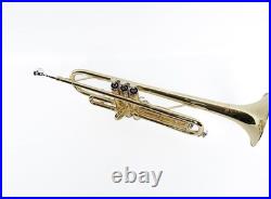 Bb Standard Brass Trumpet for Beginner and Intermediate Players Student Model
