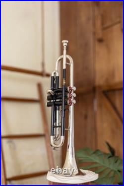 Bb Standard Trumpet BLACK CHROME Finish Valves with Case Mouthpiece CHRISTMAS