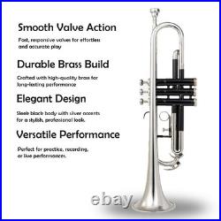 Bb Standard Trumpet BLACK CHROME Finish Valves with Case Mouthpiece CHRISTMAS