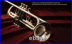 Bb Standard Trumpet BLACK CHROME Finish Valves with Case Mouthpiece CHRISTMAS