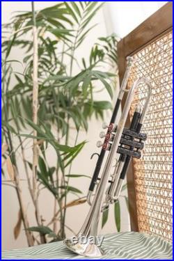 Bb Standard Trumpet BLACK CHROME Finish Valves with Case and Mouthpiece