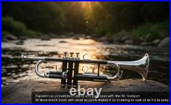 Bb Standard Trumpet BLACK CHROME Finish Valves with Case and Mouthpiece