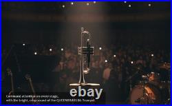 Bb Standard Trumpet BLACK CHROME Finish Valves with Case and Mouthpiece sale